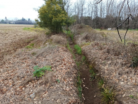 propiedad-agricola-en-venta,-campo-de-21-ha,-sa-4