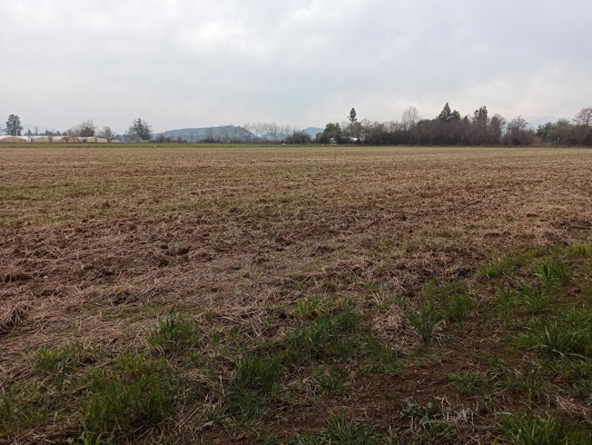 propiedad-agricola-en-venta,-campo-de-21-ha,-sa-7