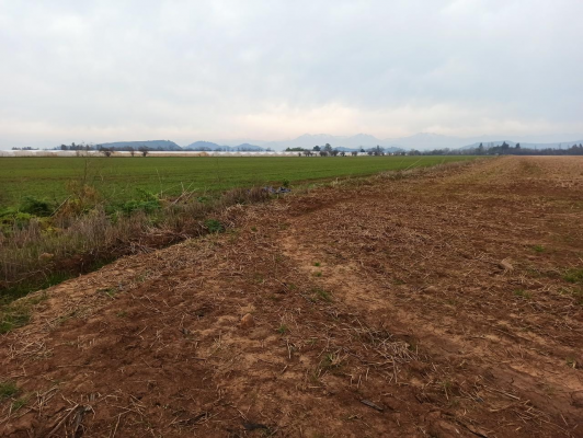propiedad-agricola-en-venta,-campo-de-21-ha,-sa-8