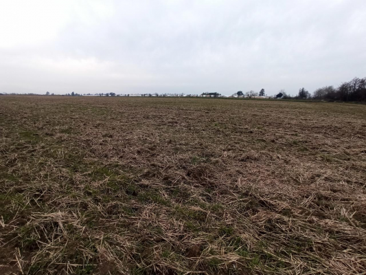 propiedad-agricola-en-venta,-campo-de-21-ha,-sa-9
