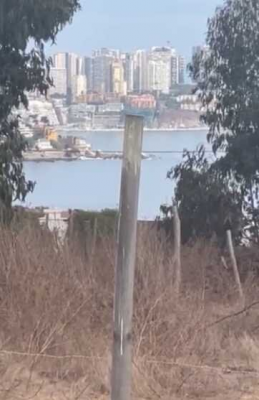 -11