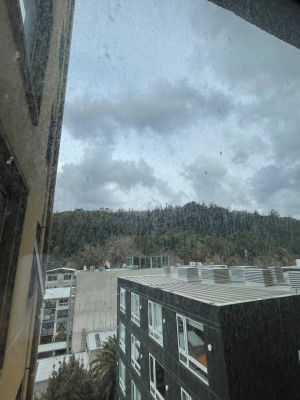 -20