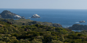 Condominio Rocas Del Mar Sitios Banco Estado